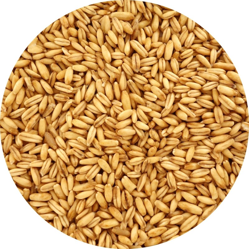 Riz de prairie - avoine en grain 800g L